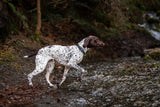 The Perfect Dog Walking Set: Why Matching Collars and Leads Make Everyday Walks Feel Special
