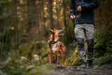 Built for Better Walks: Why the Right Dog Collar and Lead Matter