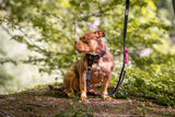 Combat Dog Lead