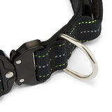Close-up of a black dog collar with a metal buckle on a white background
