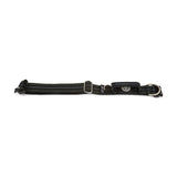Black dog collar with metallic buckle on a white background
