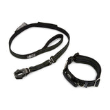 Black dog collar and leash set on a white background