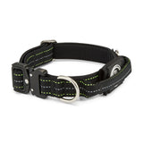 Black dog collar with reflective stripes on a white background
